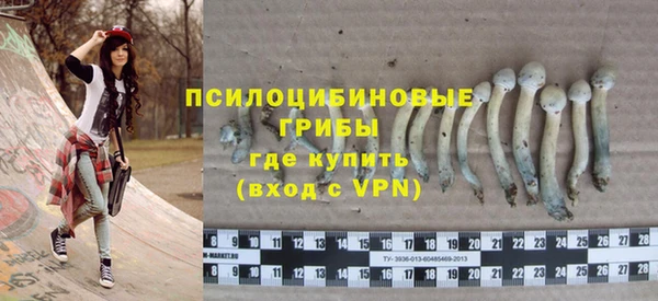 ешки Краснослободск