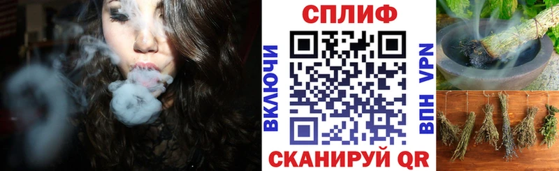 Бошки Шишки план Саратов